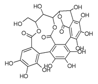 Chemical structure of castalin