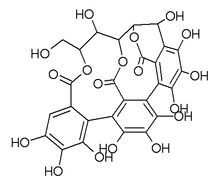 Chemical structure of castalin