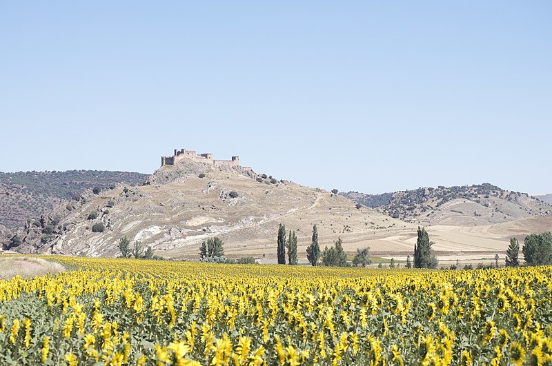 File:Castillo y Girasoles - panoramio.jpg