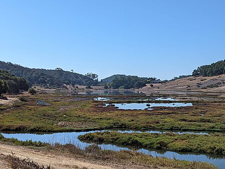 Cemetery Marsh