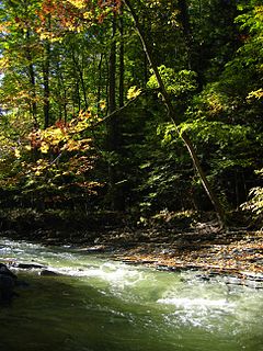 Chautauqua Creek River in New York, United States