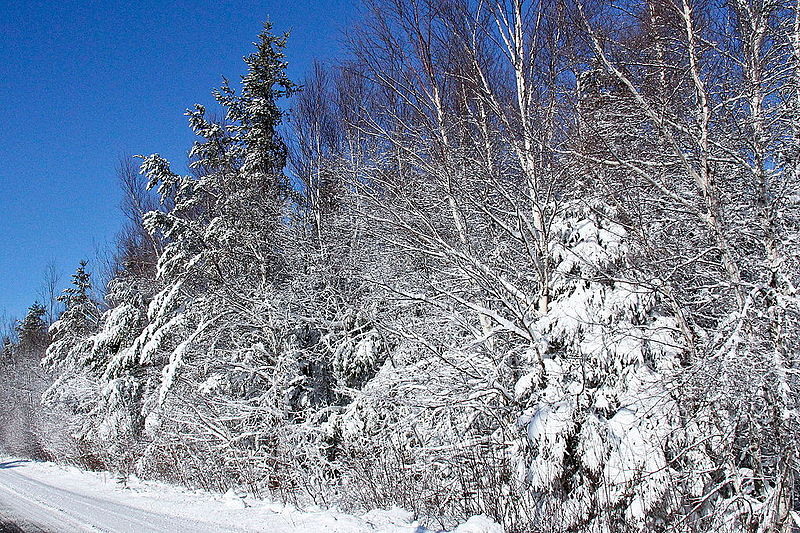 File:Chemin de l'église, St.-Norbert, NB (11843393484).jpg