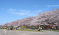 2007年1月26日 (金) 12:58時点における版のサムネイル