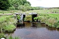 Clapper Bridge near Powder Mills - geograph.org.uk - 834517.jpg