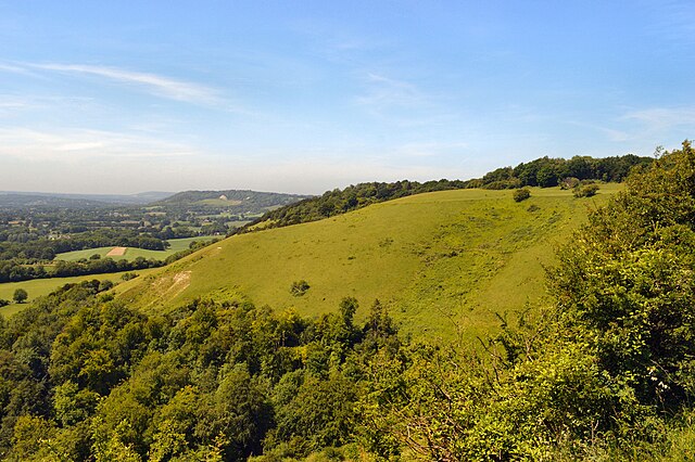 Colley Hill on the North Downs Way