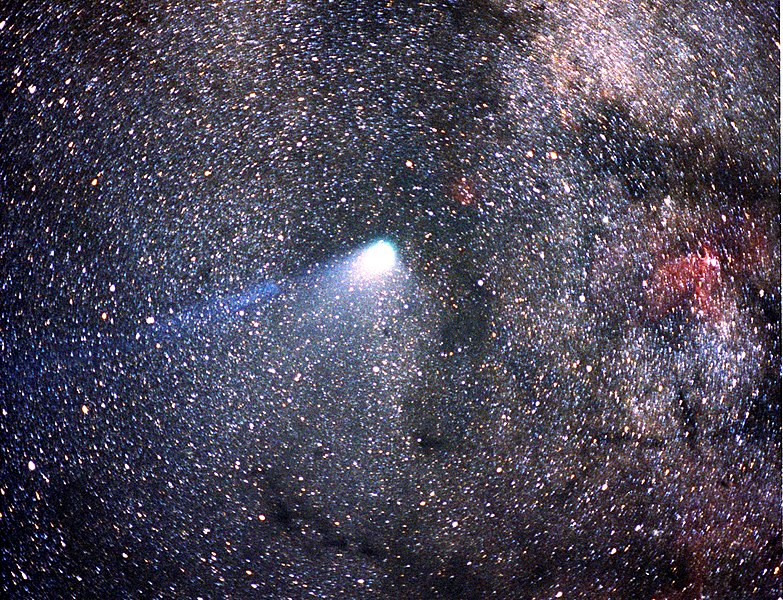 File:Comet Halley.jpg