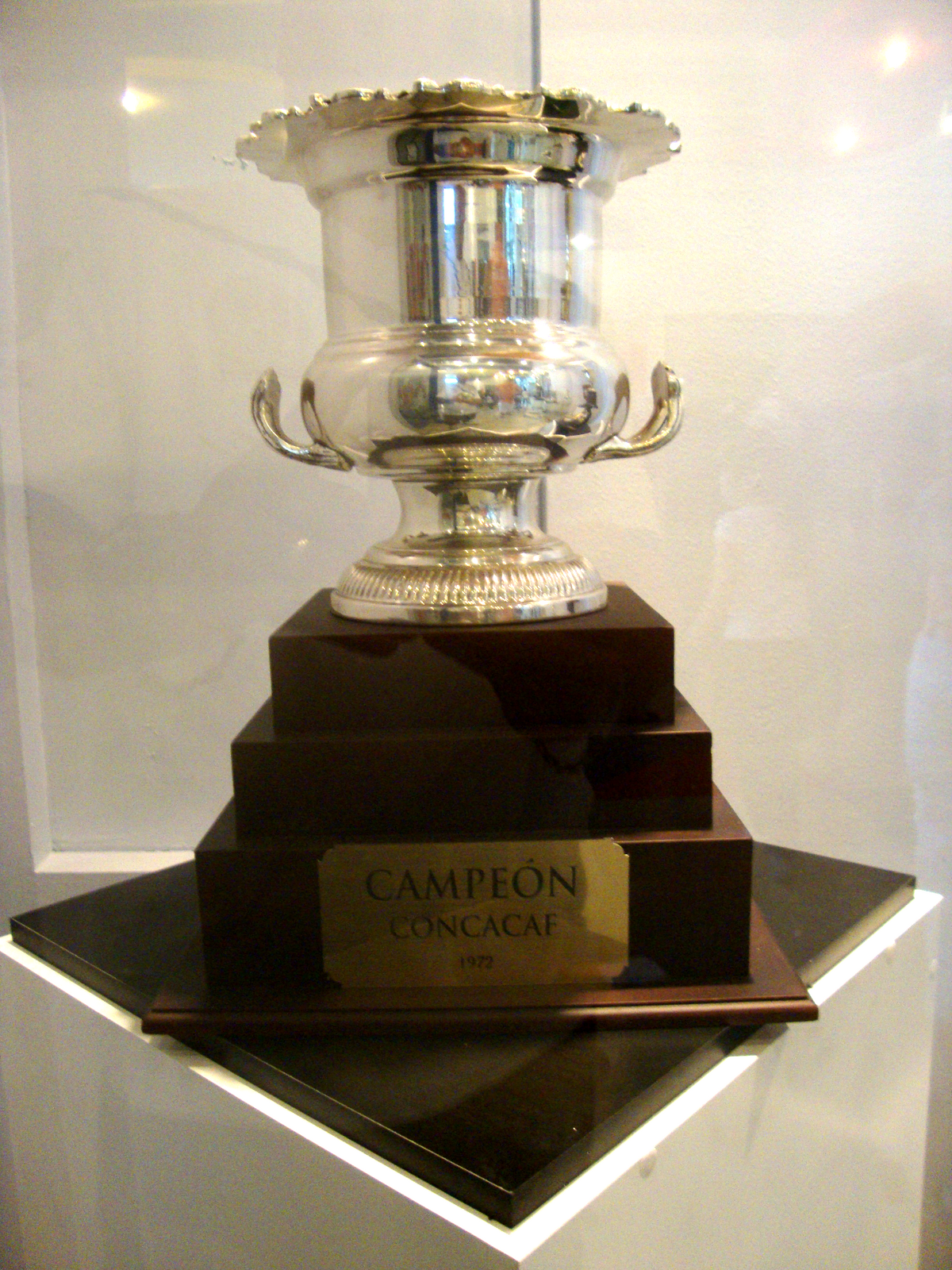 Ligue des champions de la CONCACAF 2014-2015 — Wikipédia