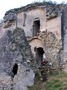 Archivo:Coucy_château_(chèvres)_5.jpg