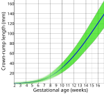 صورة SVG جديدة