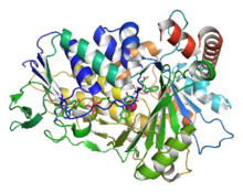 Triptofan-7-Halogenase.png-ning kristalli tuzilishi