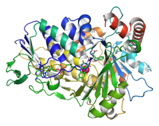 <span class="mw-page-title-main">Tryptophan 7-halogenase</span>