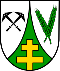 Brasão de Düngenheim