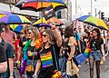 DUBLIN LGBTQ PRIDE PARADE 2019 -NEAR MOSS STREET - TALBOT BRIDGE--153876 (48154499621).jpg