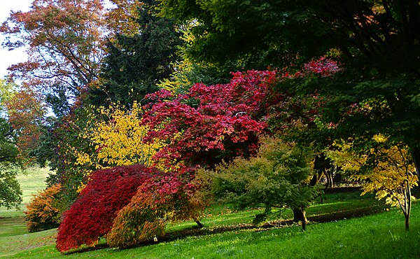 Autumn in the gardens