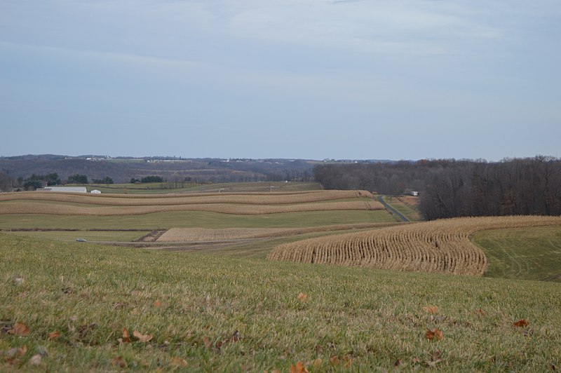 File:Daugherty Township open countryside.jpg