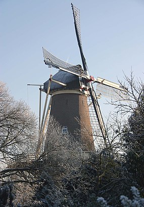 Hoe gaan naar De Beijenkorf met het openbaar vervoer - Over de plek