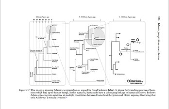 Diagram of Adamic exceptionalism. Diagram of Adamic exceptionalism.jpg