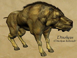 Daeodon