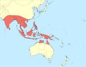 Diplacodes nebulosa distribution map.svg