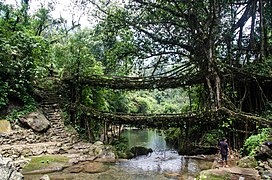 Doppio ponte vicino al villaggio di Nongriat