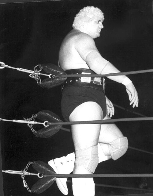 Dusty Rhodes was a top star in Championship Wrestling from Florida and other NWA affiliates