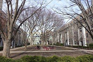 Traditions And Student Activities At Mit