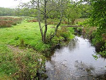 The East Webburn River passing close to Widecombe