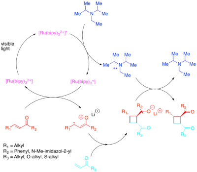 Diagram of Photocatalytic Crossed Enone 2+2 cycloaddition Enone Cycloaddition Figure.png