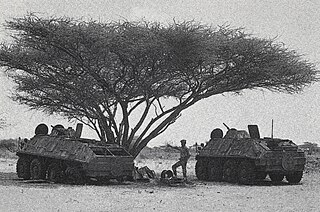 <span class="mw-page-title-main">1982 Ethiopian–Somali Border War</span> Ethiopian invasion of Somalia