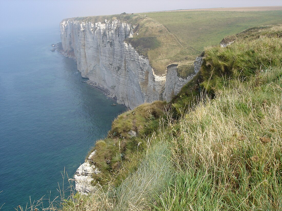 Bénouville (Sena Marítimu)