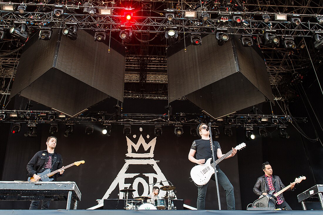 File:Fall Out Boy-Rock im Park 2014- by 2eight DSC8549.jpg