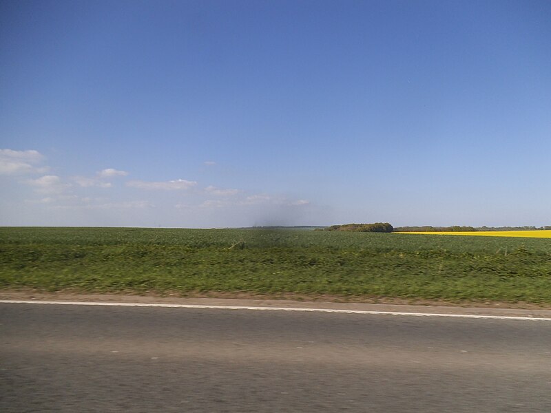File:Field by the A303 at Old Willoughby Hedge - geograph.org.uk - 5767280.jpg