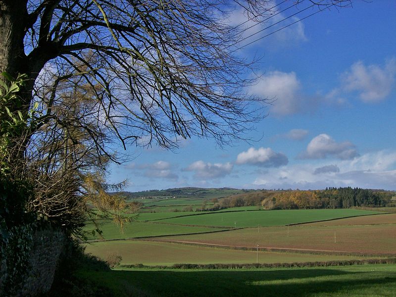 File:Fields at St Weonards.JPG