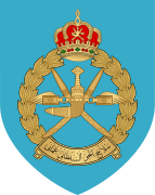 Real Fuerza Aérea de Omán (aviones de combate)