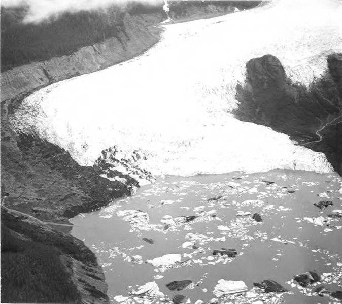 File:Finger Glacier, valley glacier terminus into glacial lake with icebergs, undated (GLACIERS 5464).jpg