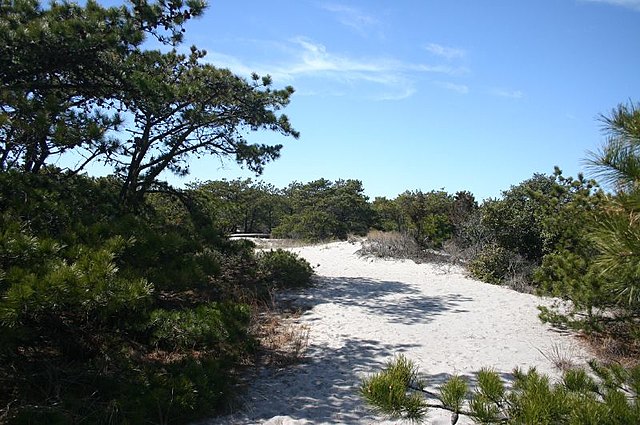 Robert Moses State Park- Wikipedia