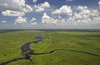 Fisheating Creek Creek in Florida, United States