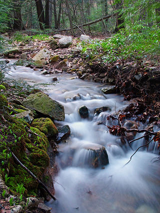 <span class="mw-page-title-main">Bear Run Natural Area</span> Natural area in Pennsylvania