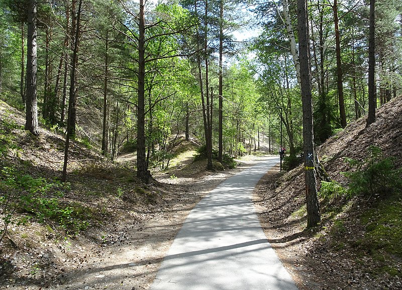 File:Flottsbronäset, rullstensås, juli 2019b.jpg