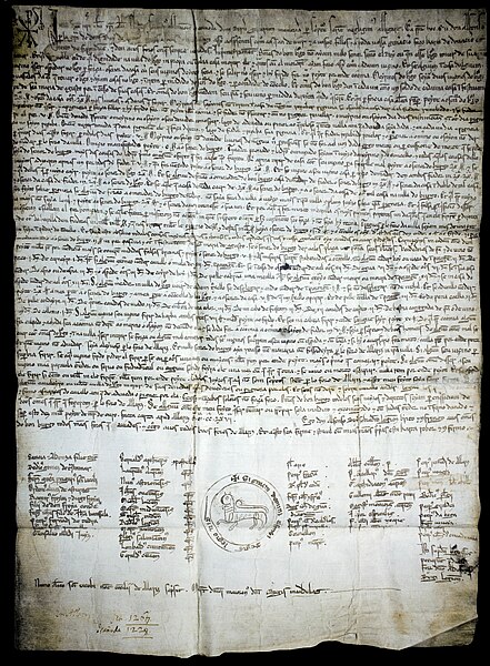 One of the oldest legal charters written in Galician, the constitutional charter of the Bo Burgo (Good Burg) of Castro Caldelas, 1228
