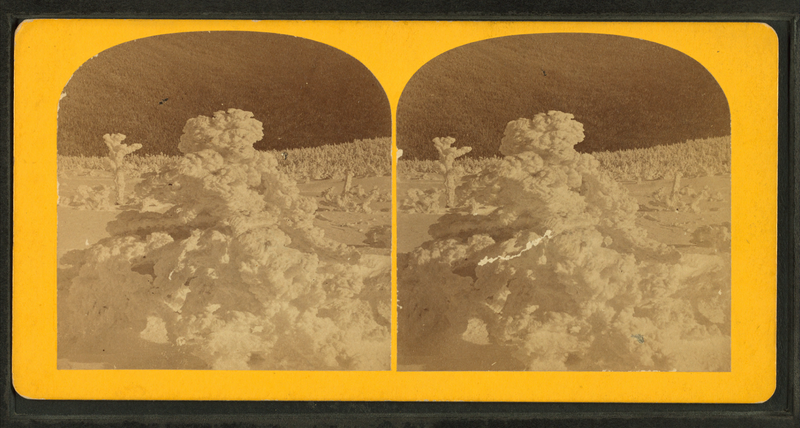 File:Frolic snow architecture, from Robert N. Dennis collection of stereoscopic views.png