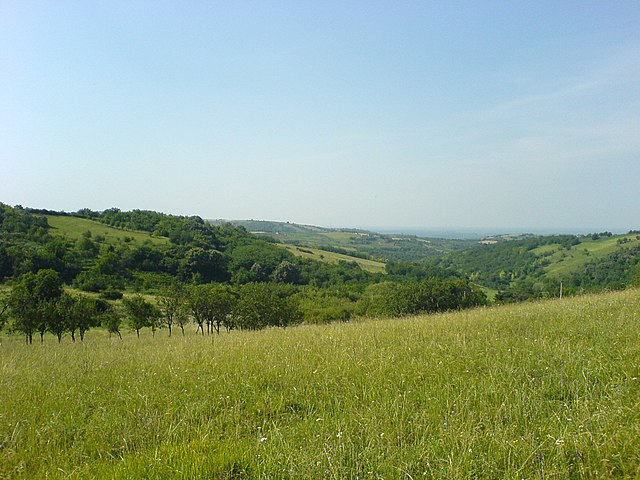 Fruška Gora National Park