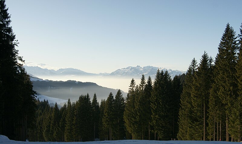 File:Gapfohl Alpstein.JPG