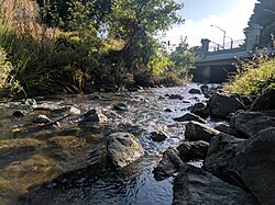 San Mateo Creek (San Francisco Bay Area)