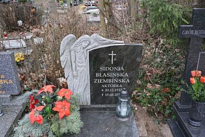 Sidonia Błasińska: Polska aktorka