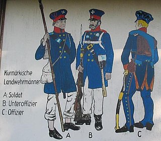 <i>Landwehr</i> German national militias in the nineteenth and early twentieth-centuries