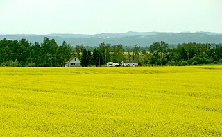 Harley, Ontario Township in Ontario, Canada