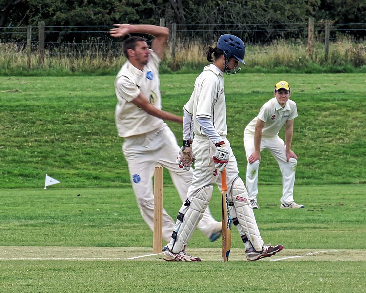 File:Hatfield Broad Oak CC v Little Hallingbury CC at Hatfield Broad Oak, Essex 051.jpg