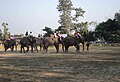 Copa Mundial 2012 de polo en elefante en Meghauli, Nepal