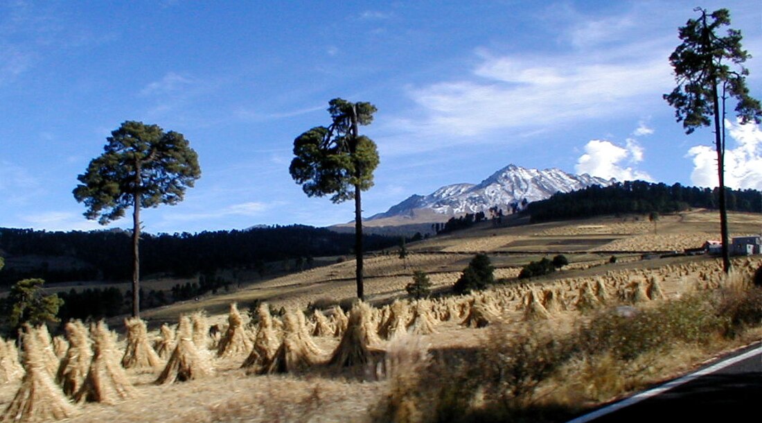 Nevado de Toluca